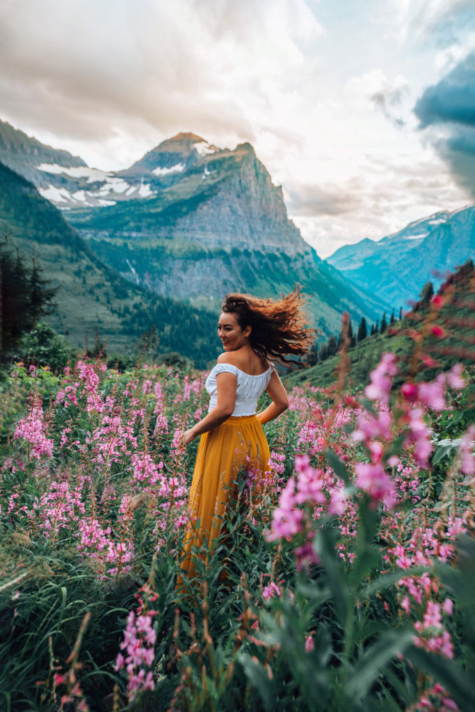 wildflowers off of logan pass in glacier national park